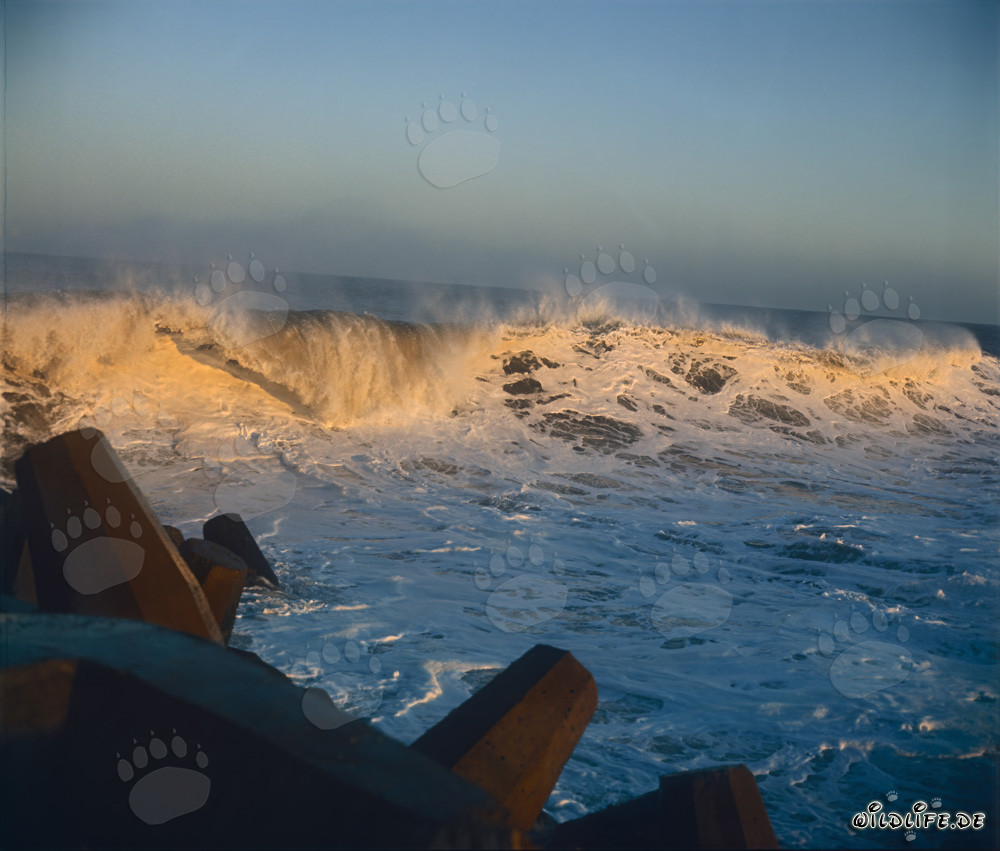 Peligrosas olas en el North Breakwater en Richards Bay