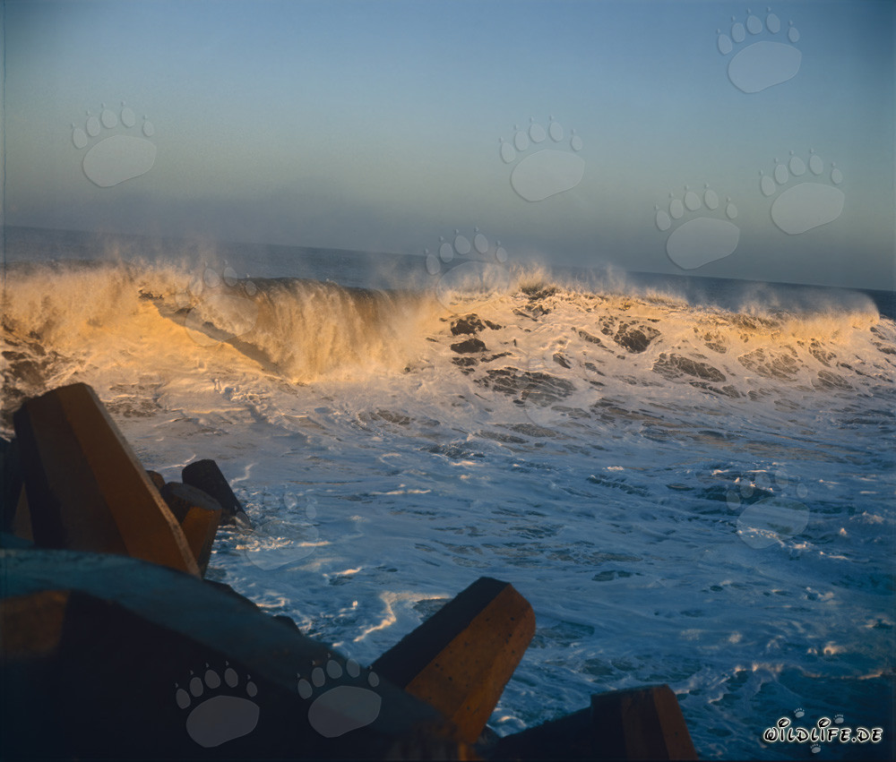 Onde pericolose al North Breakwater a Richards Bay