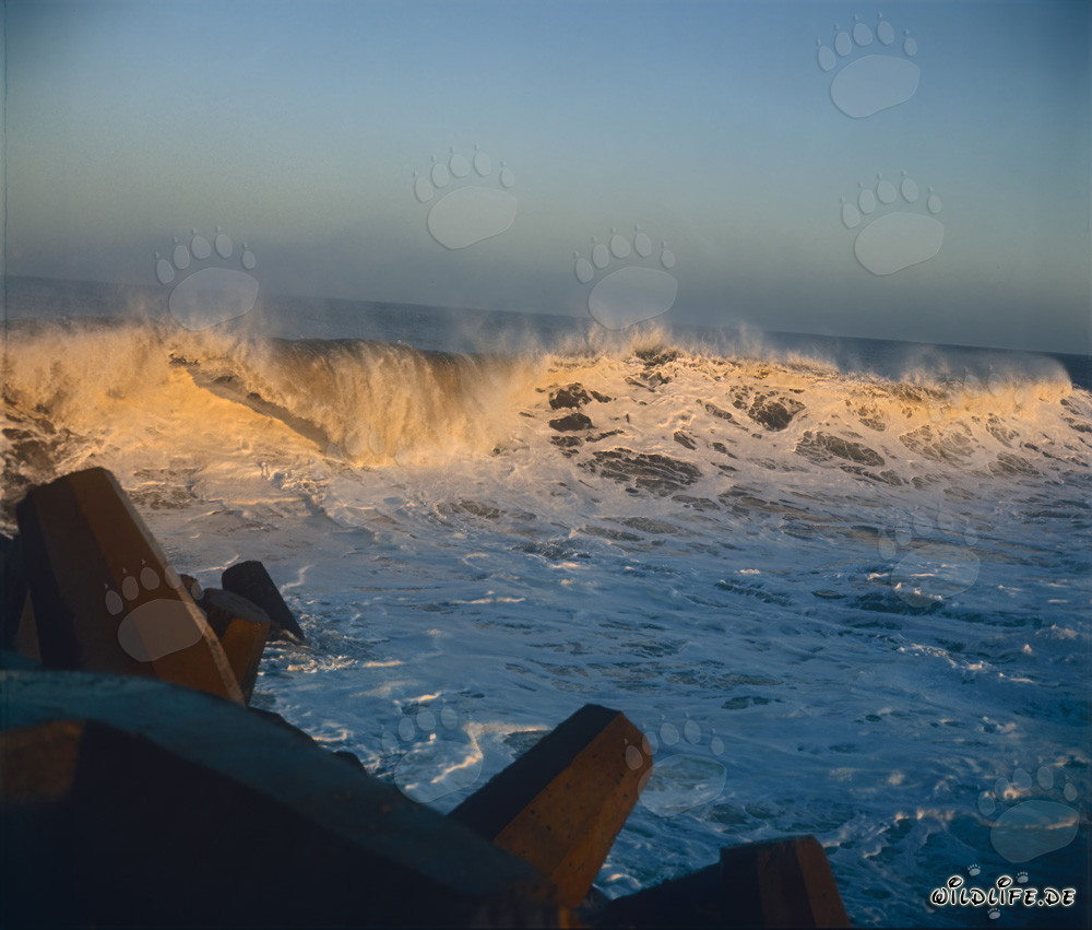 Vagues dangereuses au North Breakwater à Richards Bay