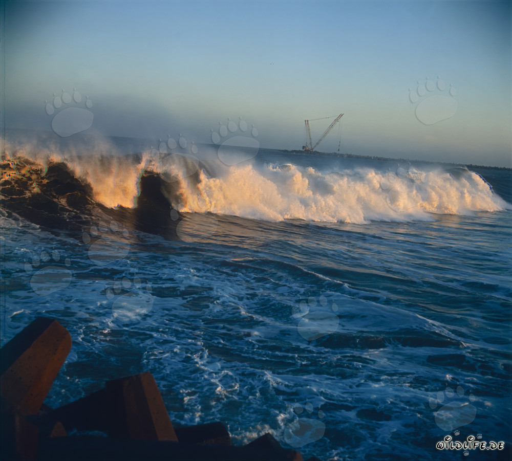 Impresionantes olas de marejada en el rompeolas norte de Richards Bay
