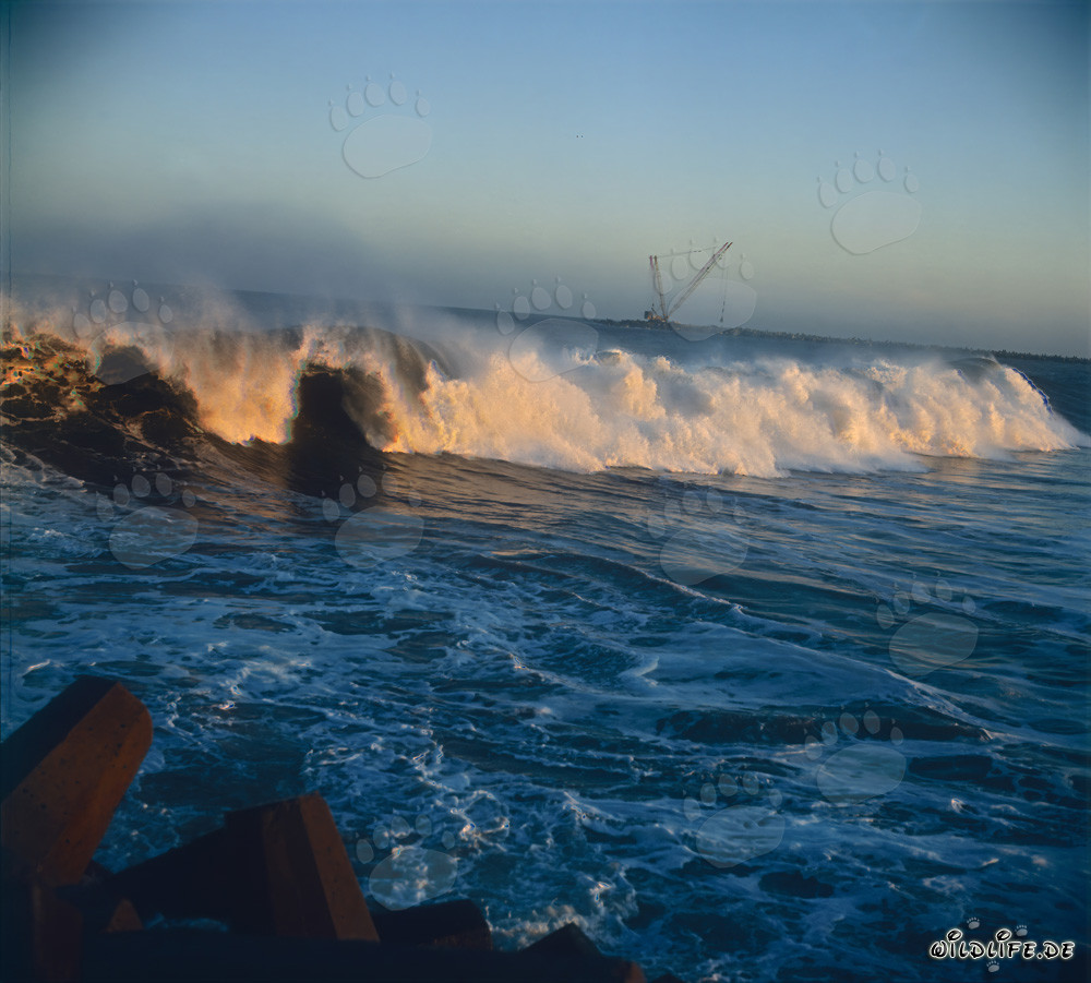 Impressionanti onde di mareggiata al molo nord di Richards Bay