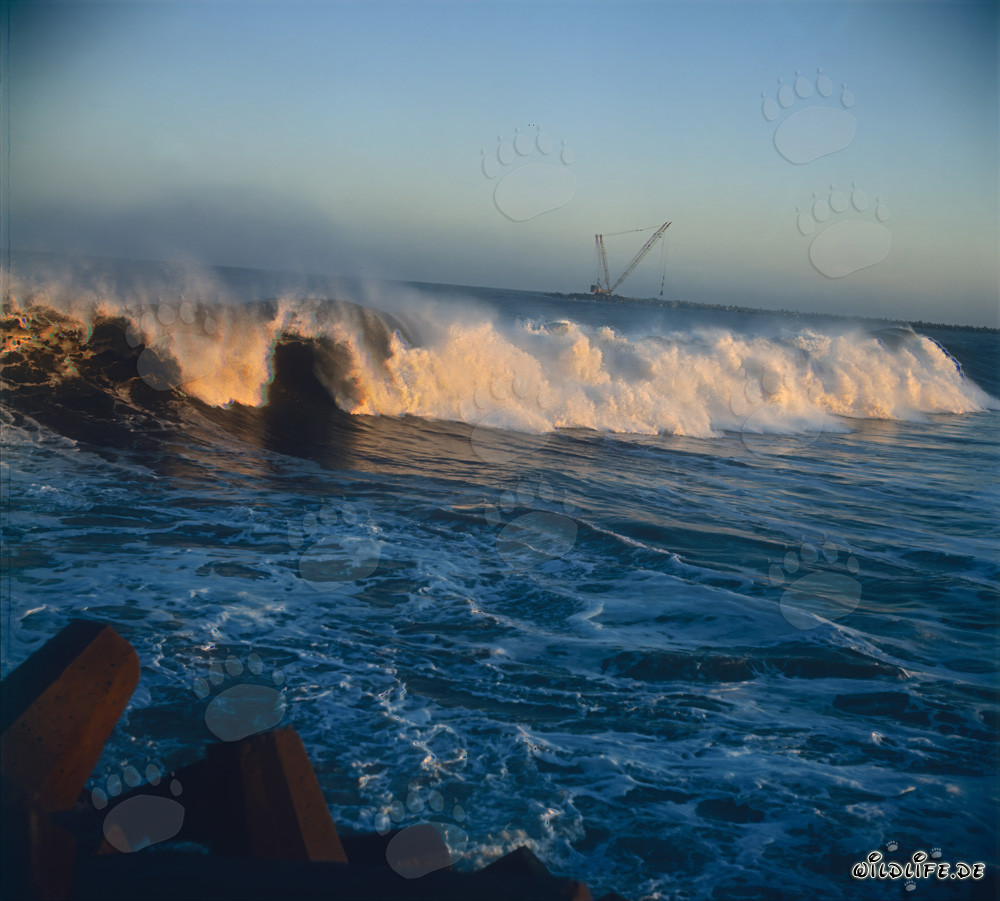 Impressive swell waves at North Breakwater of Richards Bay