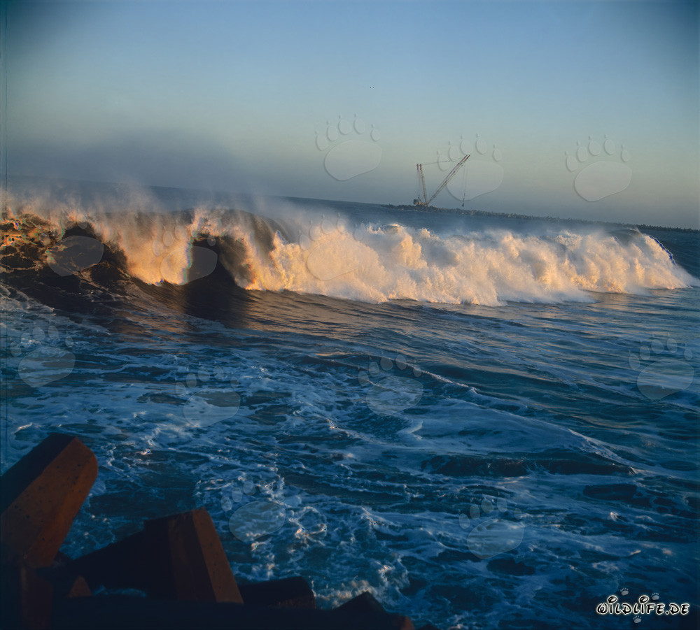Impressionnantes vagues de houle à la digue nord de Richards Bay