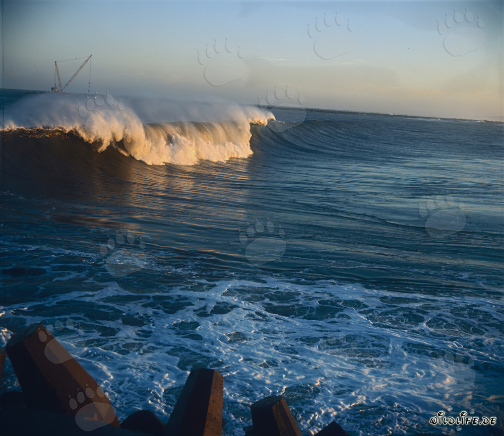 Dangerous waves at North Breakwater in Richards Bay