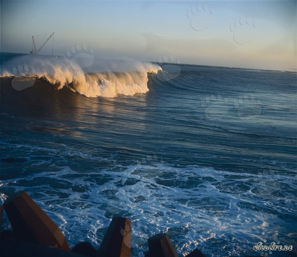 Gefährliche Wellen am North Breakwater in Richards Bay