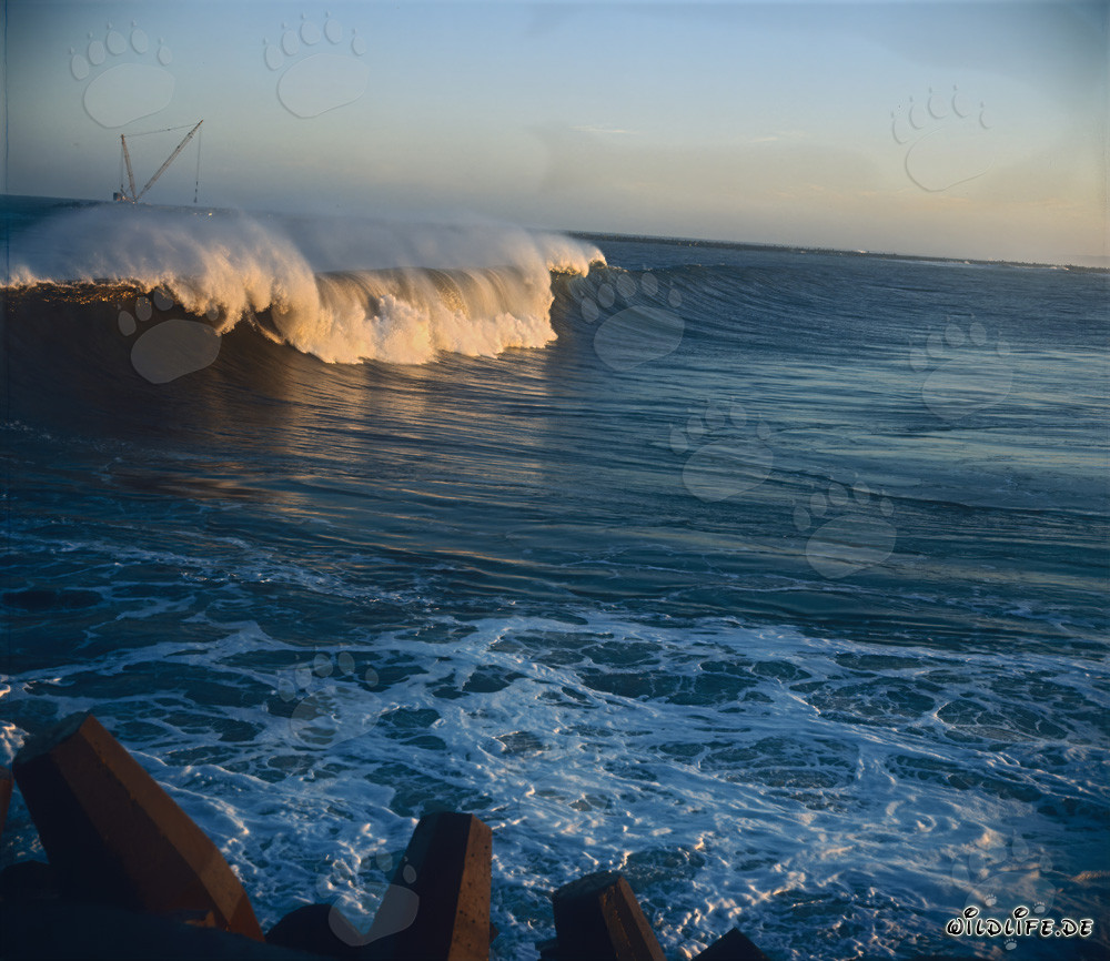 Olas peligrosas en el North Breakwater en Richards Bay