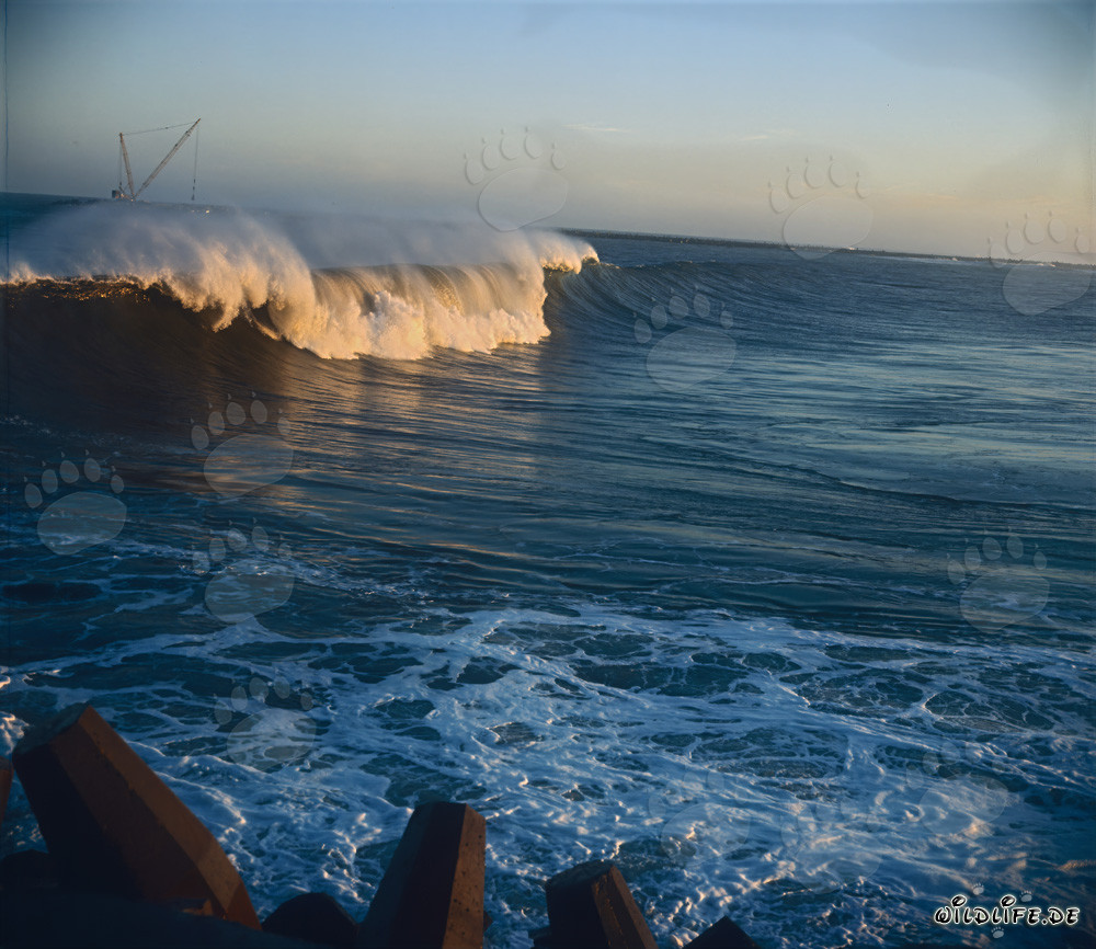 Onde pericolose al North Breakwater a Richards Bay
