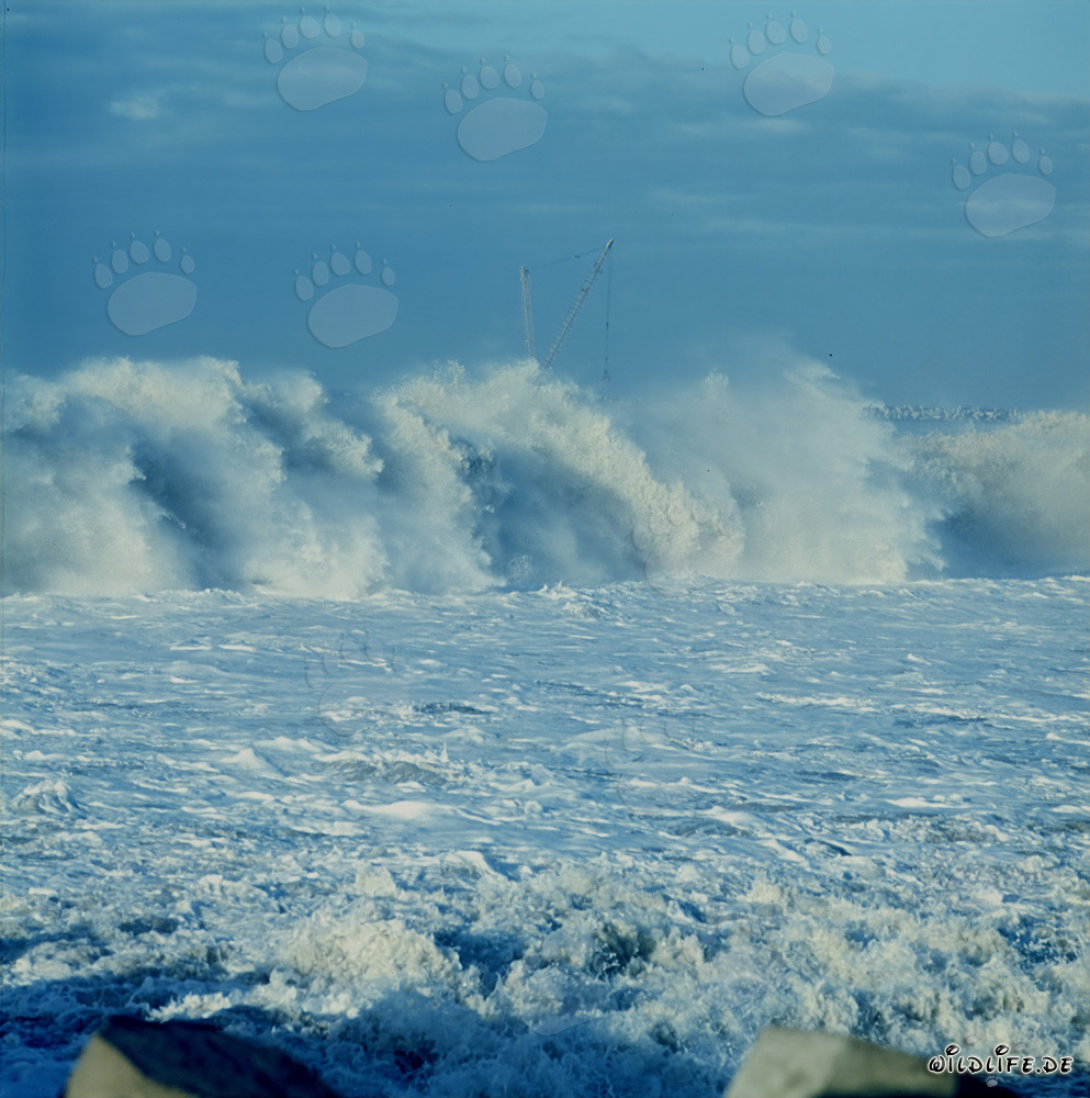 Potenti frangenti al North Breakwater di Richards Bay