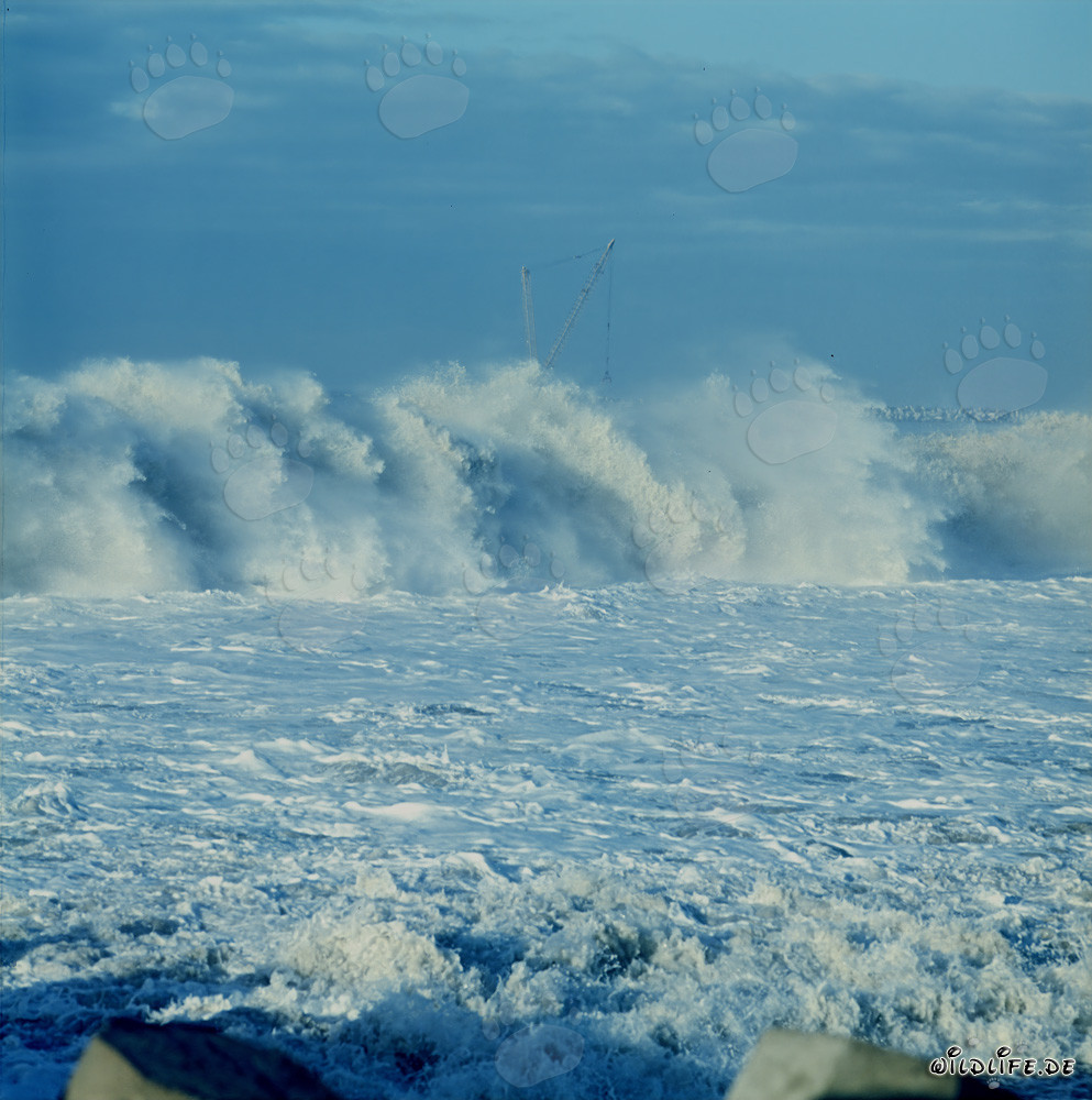 Powerful Breakers on North Breakwater in Richards Bay