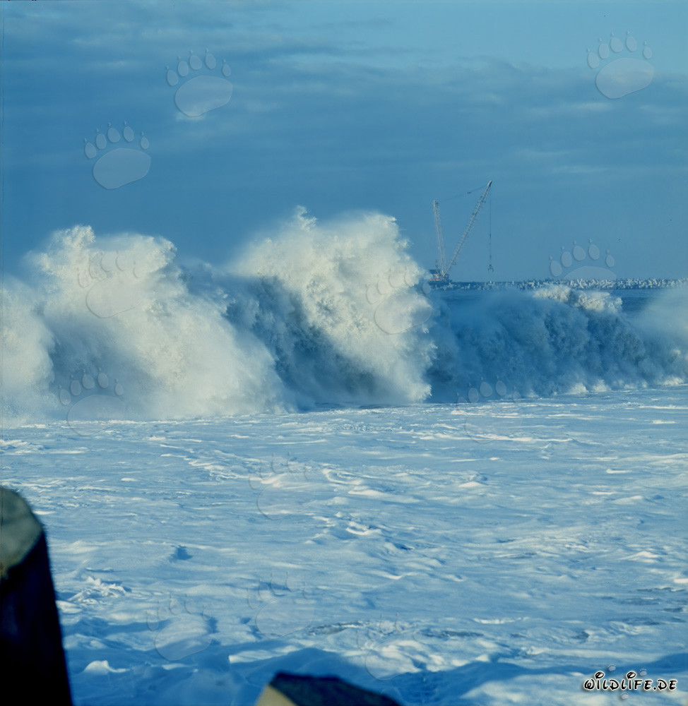 Mare agitato al North Breakwater di Richards Bay