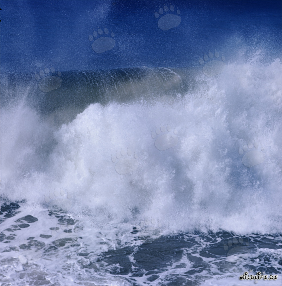 Massive breakers on North Breakwater in Richards Bay