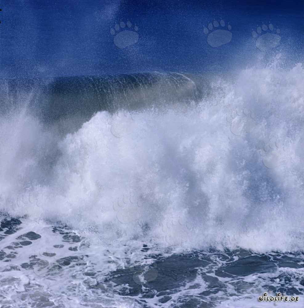 Gewaltige Brecher am North Breakwater in Richards Bay