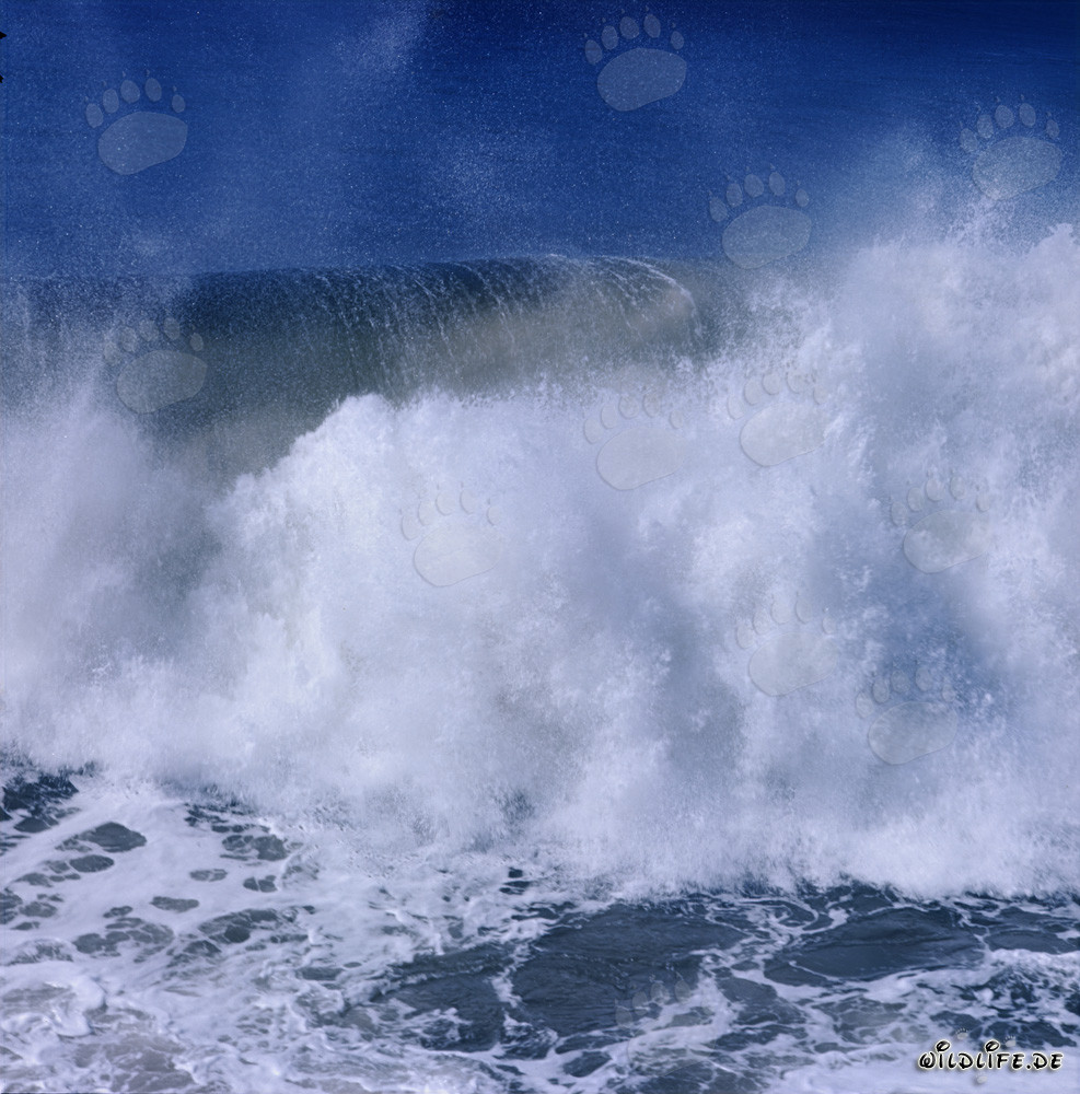Enormi onde al North Breakwater a Richards Bay