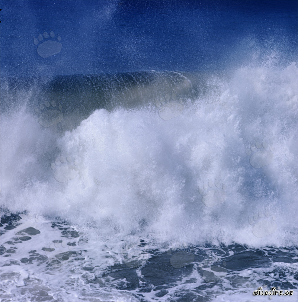 Énormes vagues au North Breakwater à Richards Bay