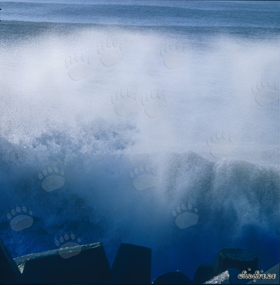 Heavy Sea on North Breakwater in Richards Bay, Natal, South Africa