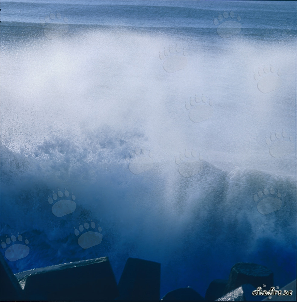 Mar agitado en el North Breakwater en Richards Bay, Natal, Sudáfrica