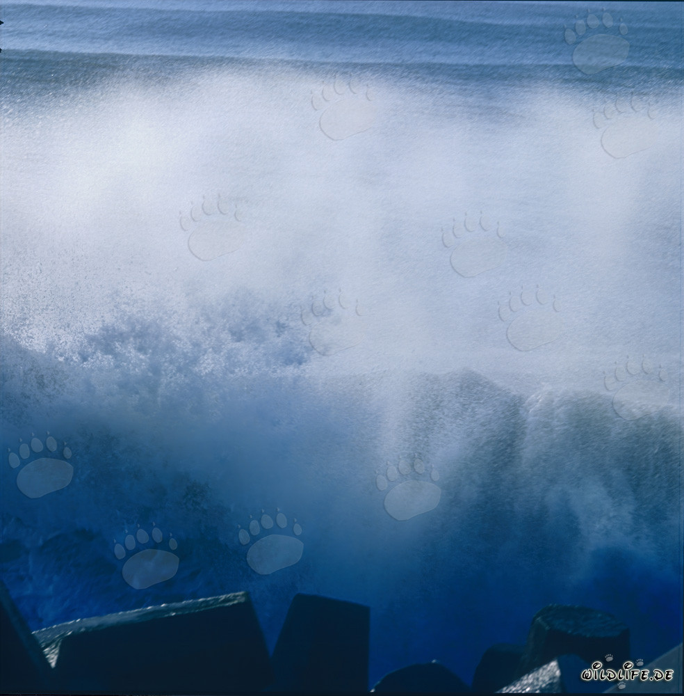 Mare agitato al North Breakwater a Richards Bay, Natal, Sudafrica