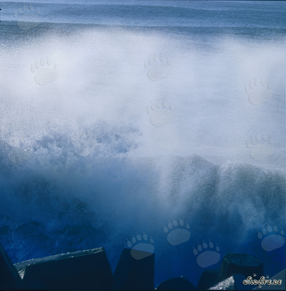 Mer agitée au North Breakwater à Richards Bay, Natal, Afrique du Sud