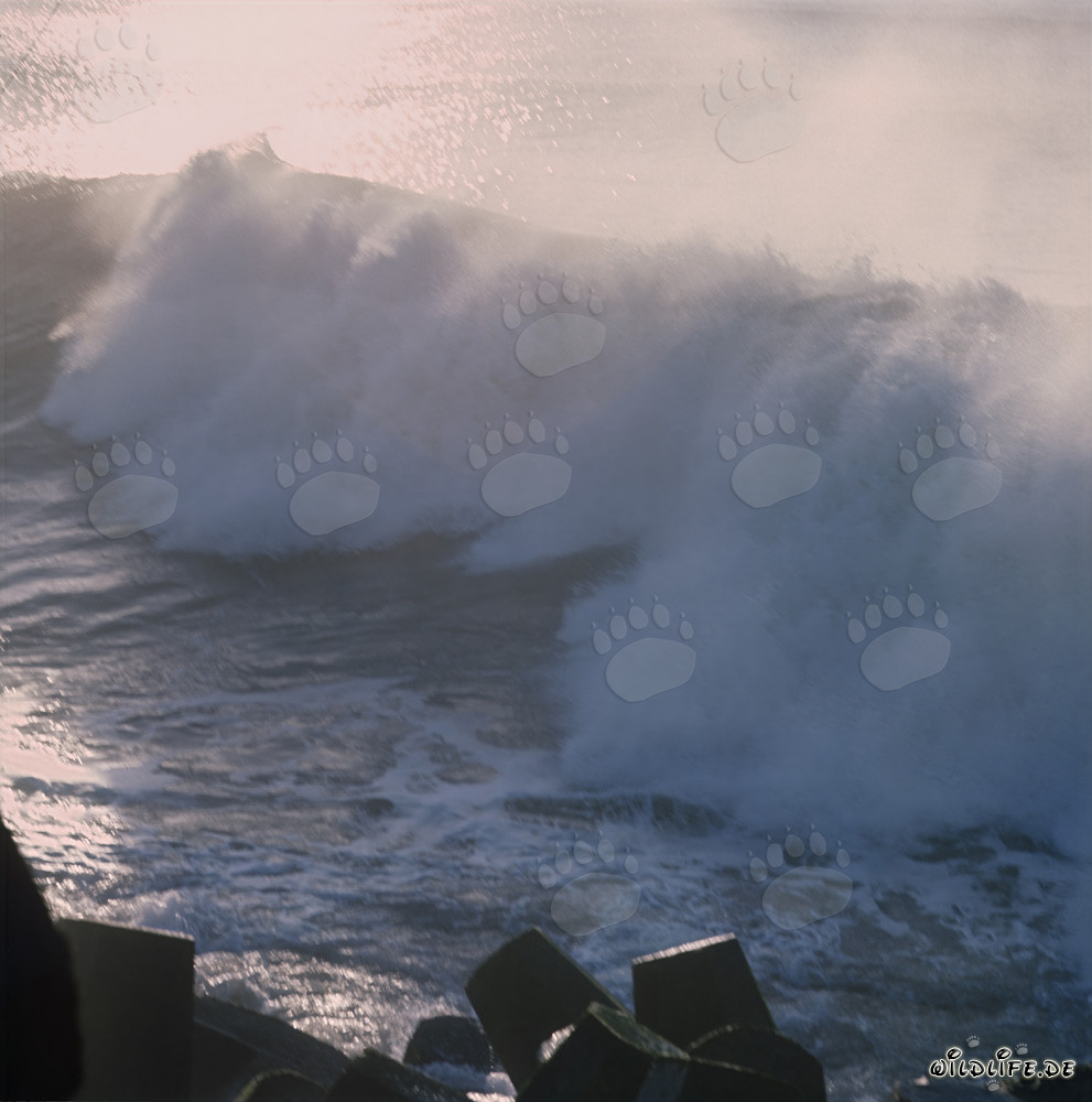Pericolosa mareggiata al North Breakwater a Richards Bay