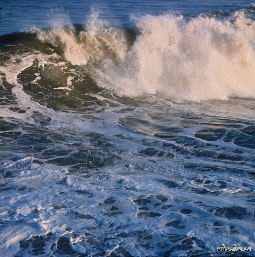 Bedrohliche Brandung an der North Breakwater