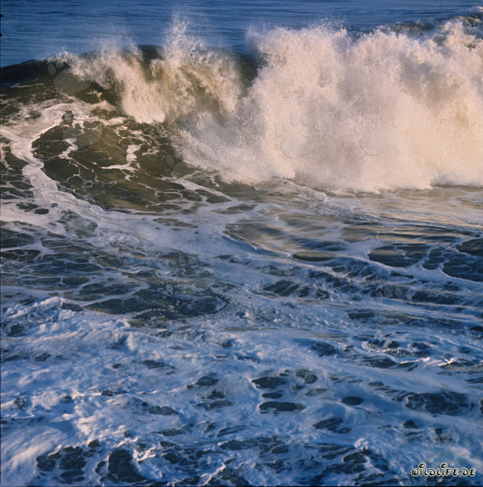 Onde minacciose al North Breakwater