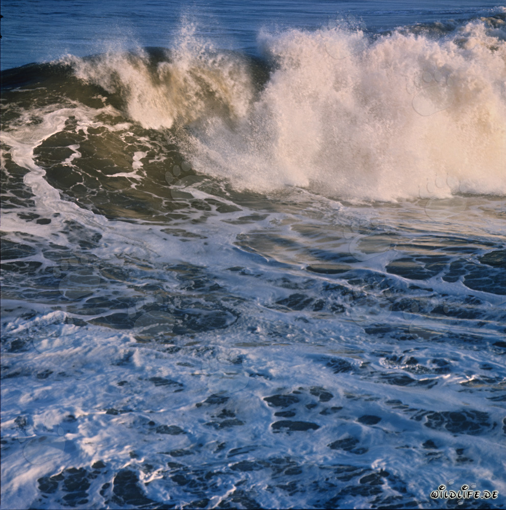 Threatening Surf at the North Breakwater