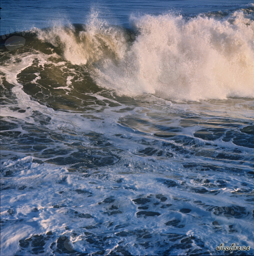 Vagues menaçantes au North Breakwater