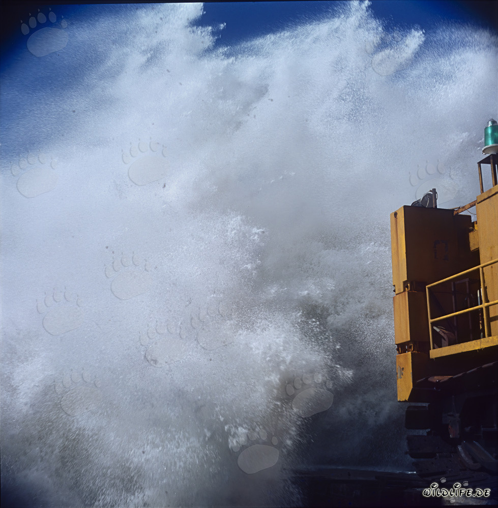 Mer agitée dangereuse au North Breakwaters à Richards Bay