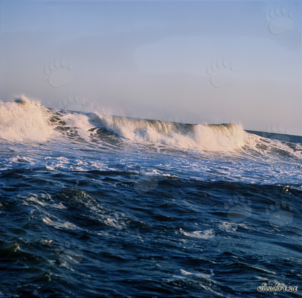 Mar agitado en el North Breakwater en Richards Bay