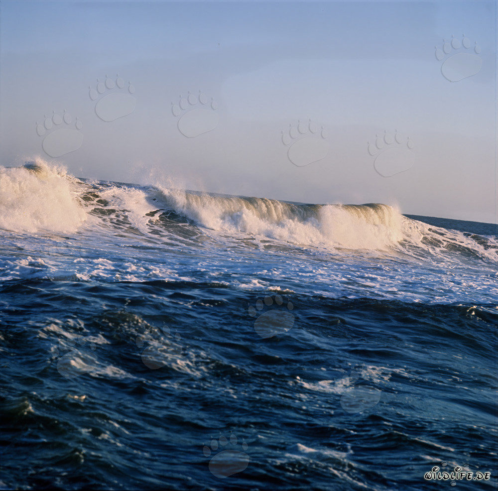 Stormy Sea at North Breakwater in Richards Bay