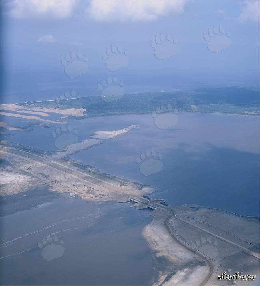 Ongoing Construction of Regulating Structures in Trenndeich