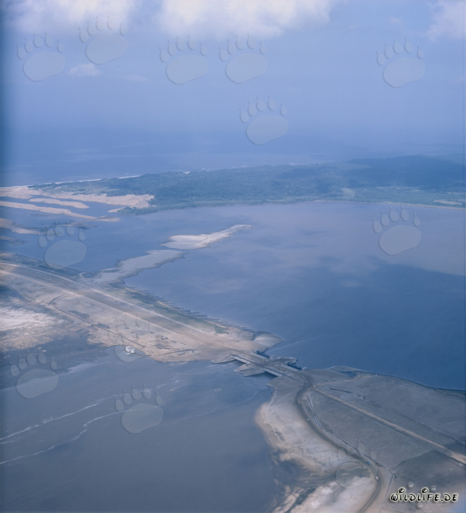 Fortschreitender Bau von Regulierbauwerken im Trenndeich