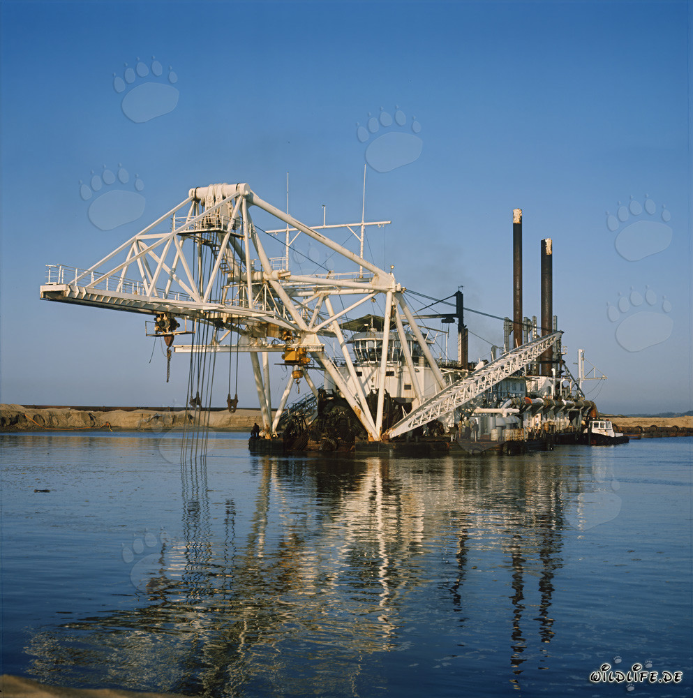 Cutter Suction Dredger Beverwijk 31 at Richards Bay Harbour