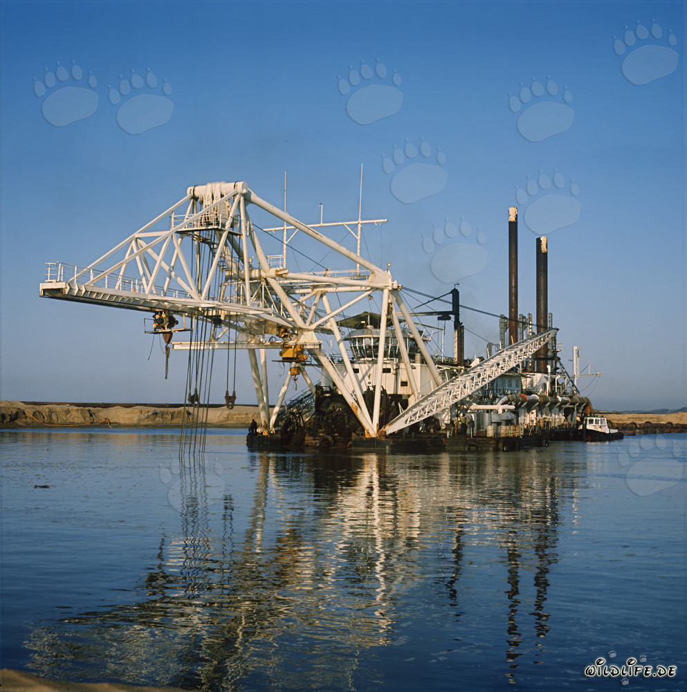 Draga de succión con cabezal cortador Beverwijk 31 en el puerto de Richards Bay