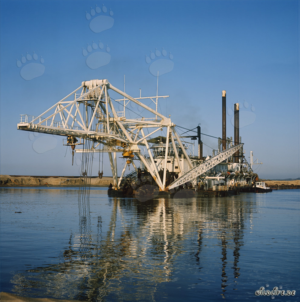 Draga a taglio Beverwijk 31 nel porto di Richards Bay