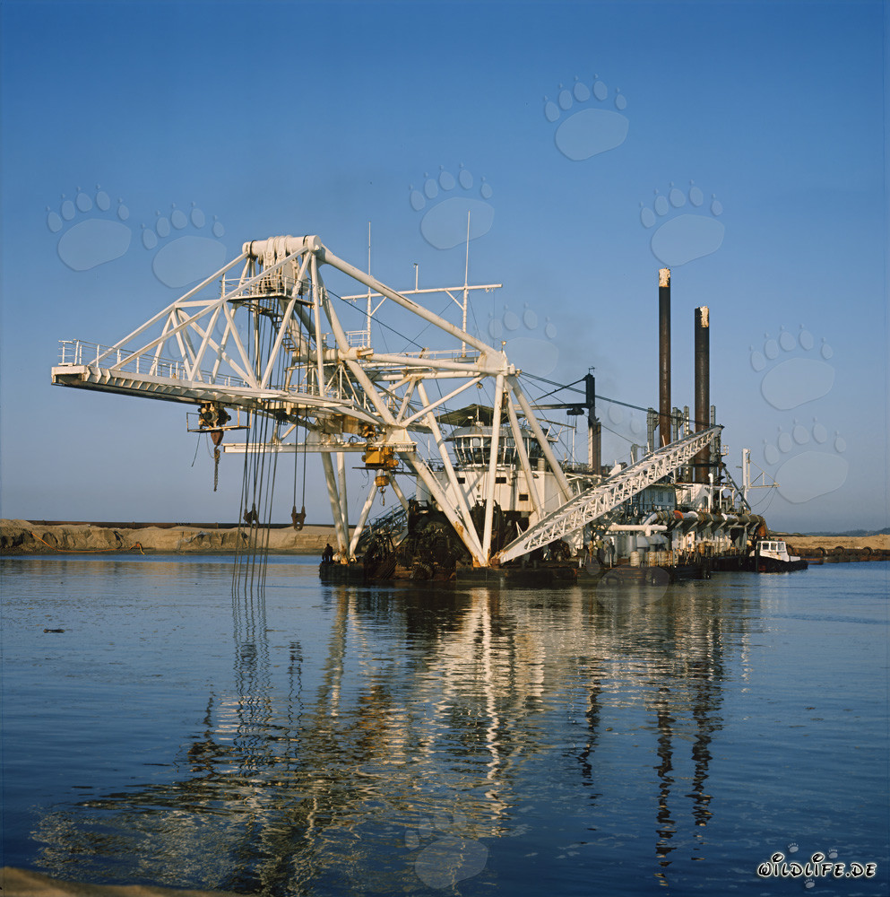 Drague suceuse à tête de coupe Beverwijk 31 dans le port de Richards Bay