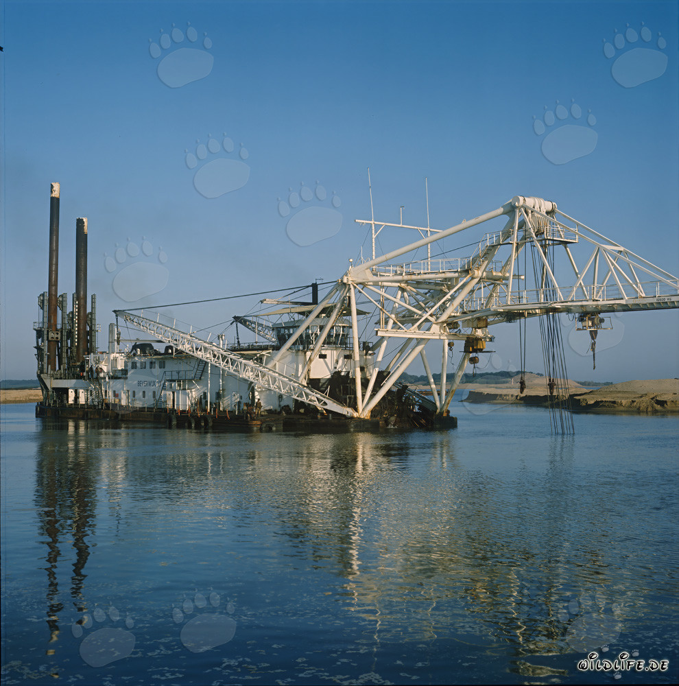Cutter suction dredger Beverwijk 31 reflected in the clear water of Richards Bay Harbor in South Africa