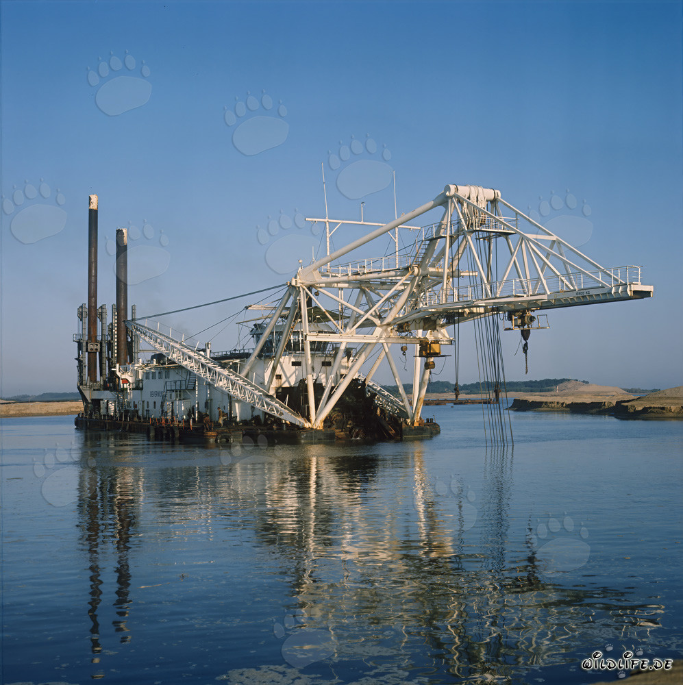 Draga a testa di taglio Beverwijk 31 nel porto di Richards Bay, Sudafrica