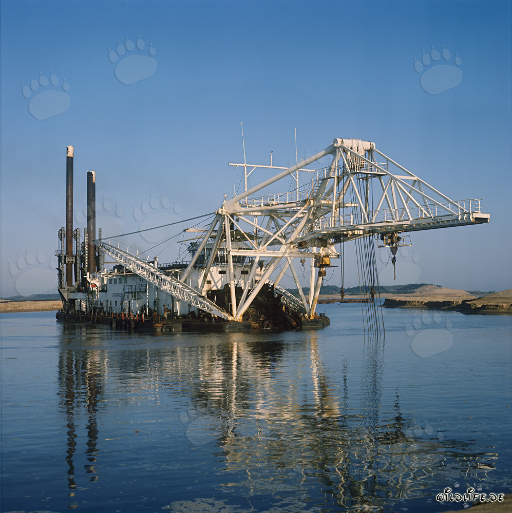 Pelle hydraulique à tête de coupe Beverwijk 31 au port de Richards Bay, Afrique du Sud