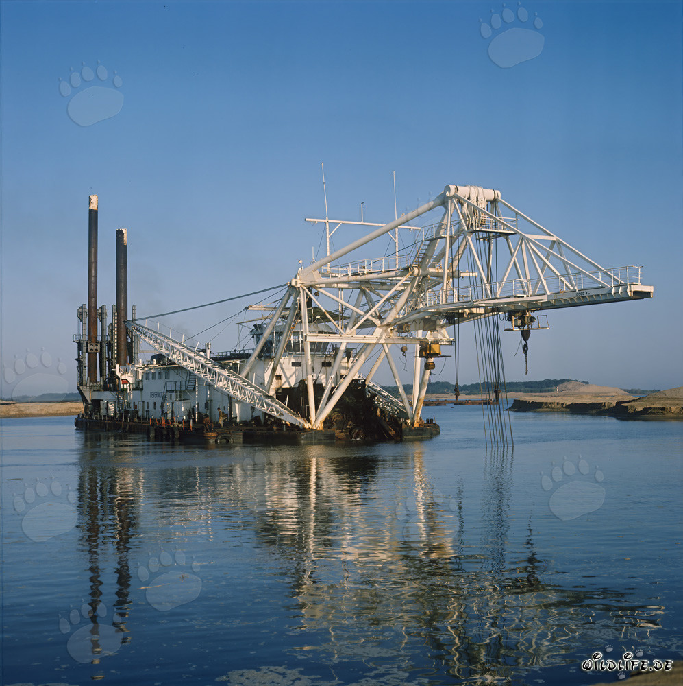 Schneidkopfspülbagger Beverwijk 31 in Richards Bay Hafen, Südafrika
