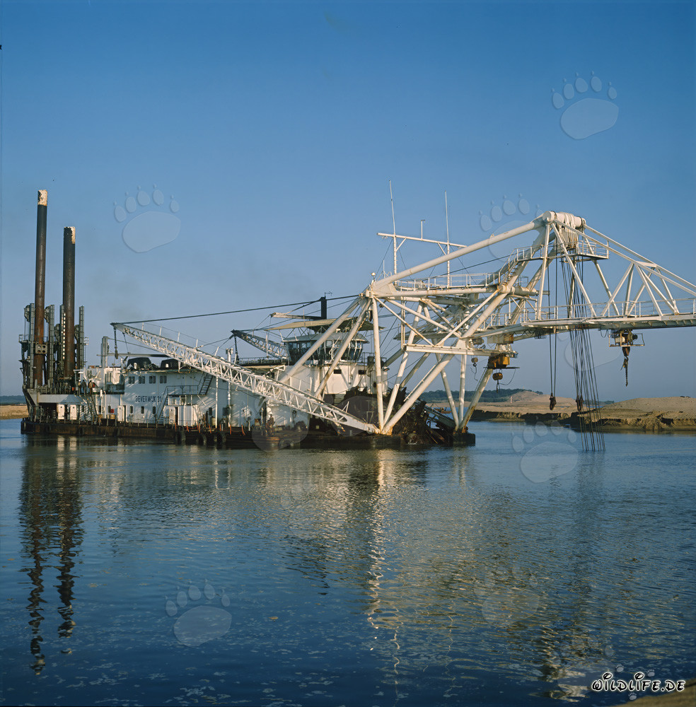 Draga tagliatrice Beverwijk 31 nel porto di Richards Bay, Sudafrica