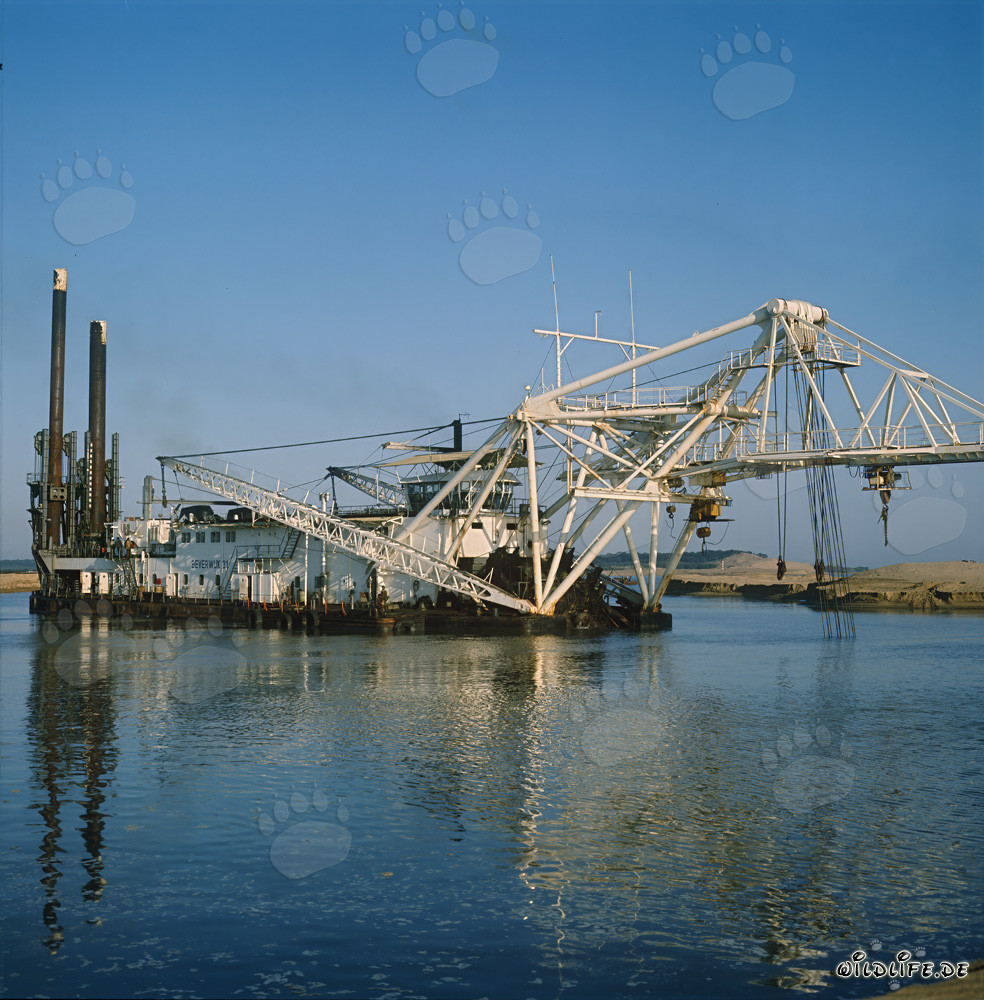 Schneidkopfspuelbagger Beverwijk 31 im Hafen Richards Bay, Südafrika