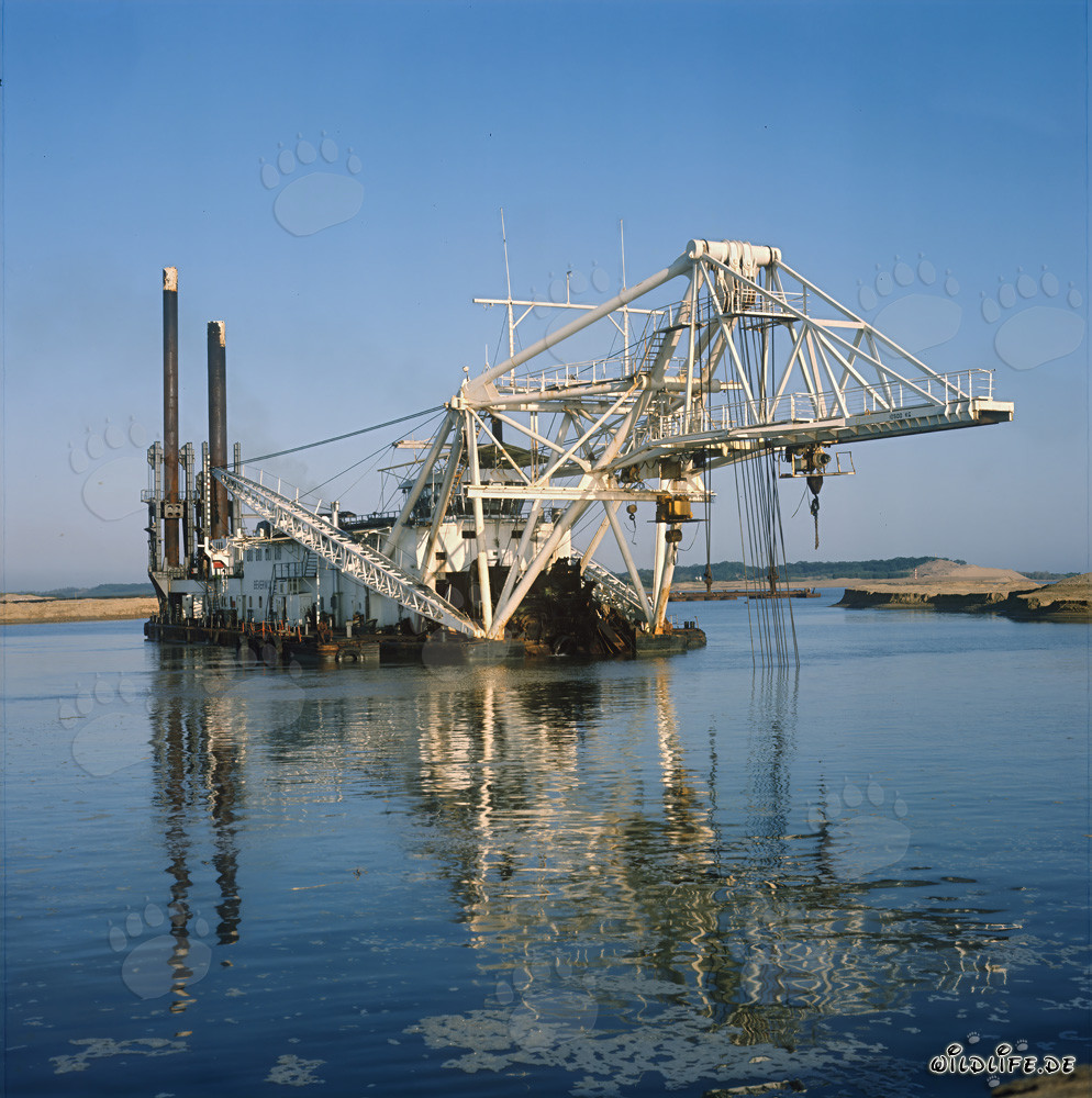Drague hydraulique Beverwijk 31 dans le port de Richards Bay, Natal, Afrique du Sud
