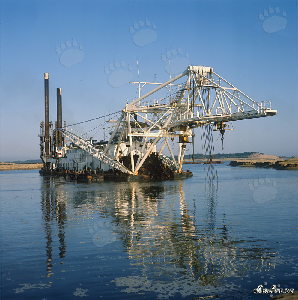Schneidkopfspuelbagger Beverwijk 31 in Richards Bay Hafen, Natal, Südafrika