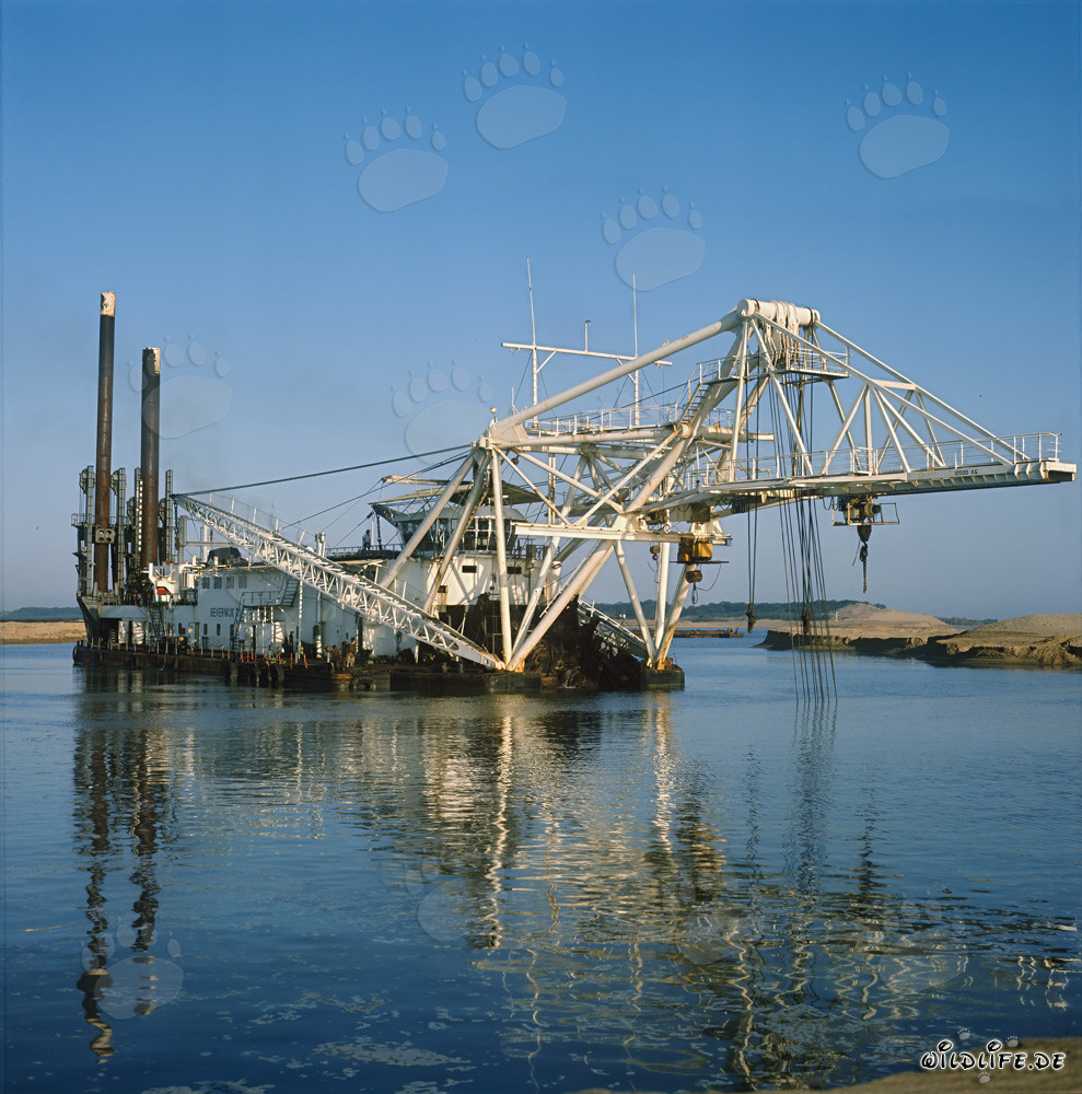Cutter Suction Dredger Beverwijk 31 in Richards Bay Harbor, Natal, South Africa