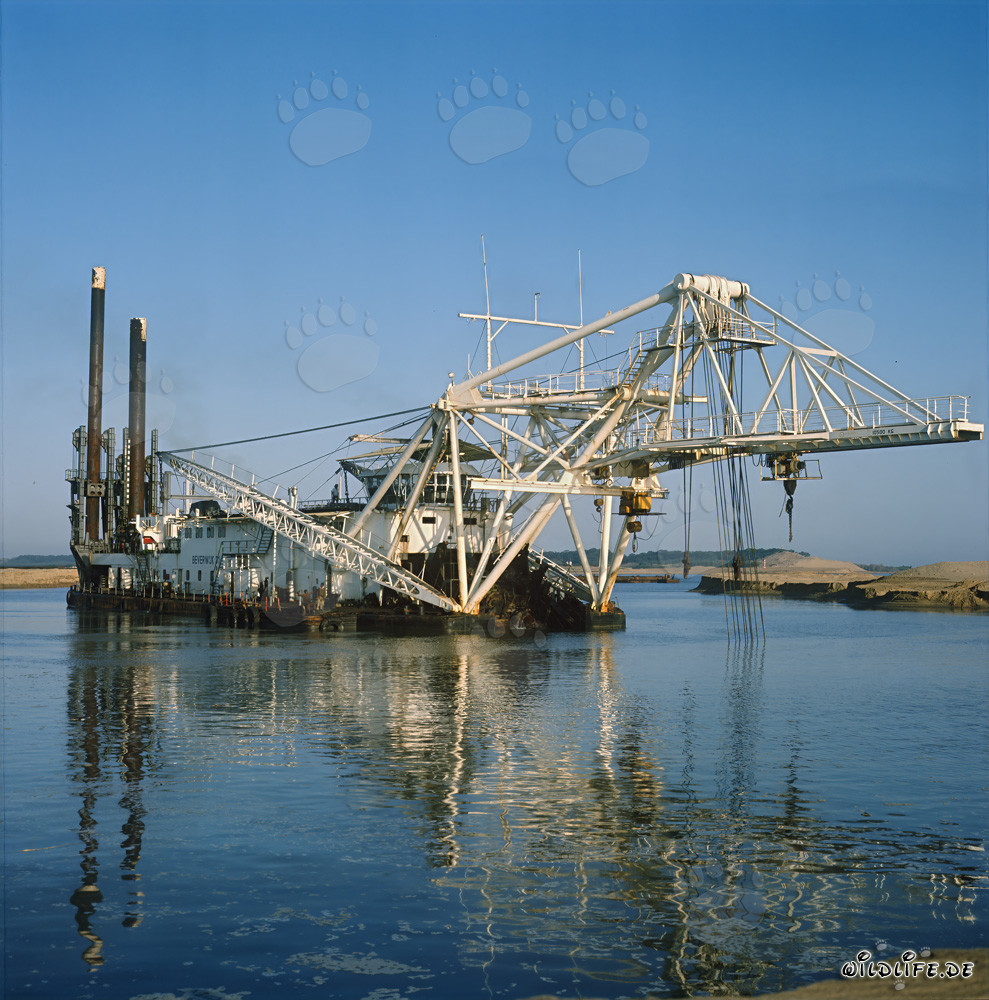 Draga aspirante con testa di taglio Beverwijk 31 nel porto di Richards Bay, Natal, Sudafrica
