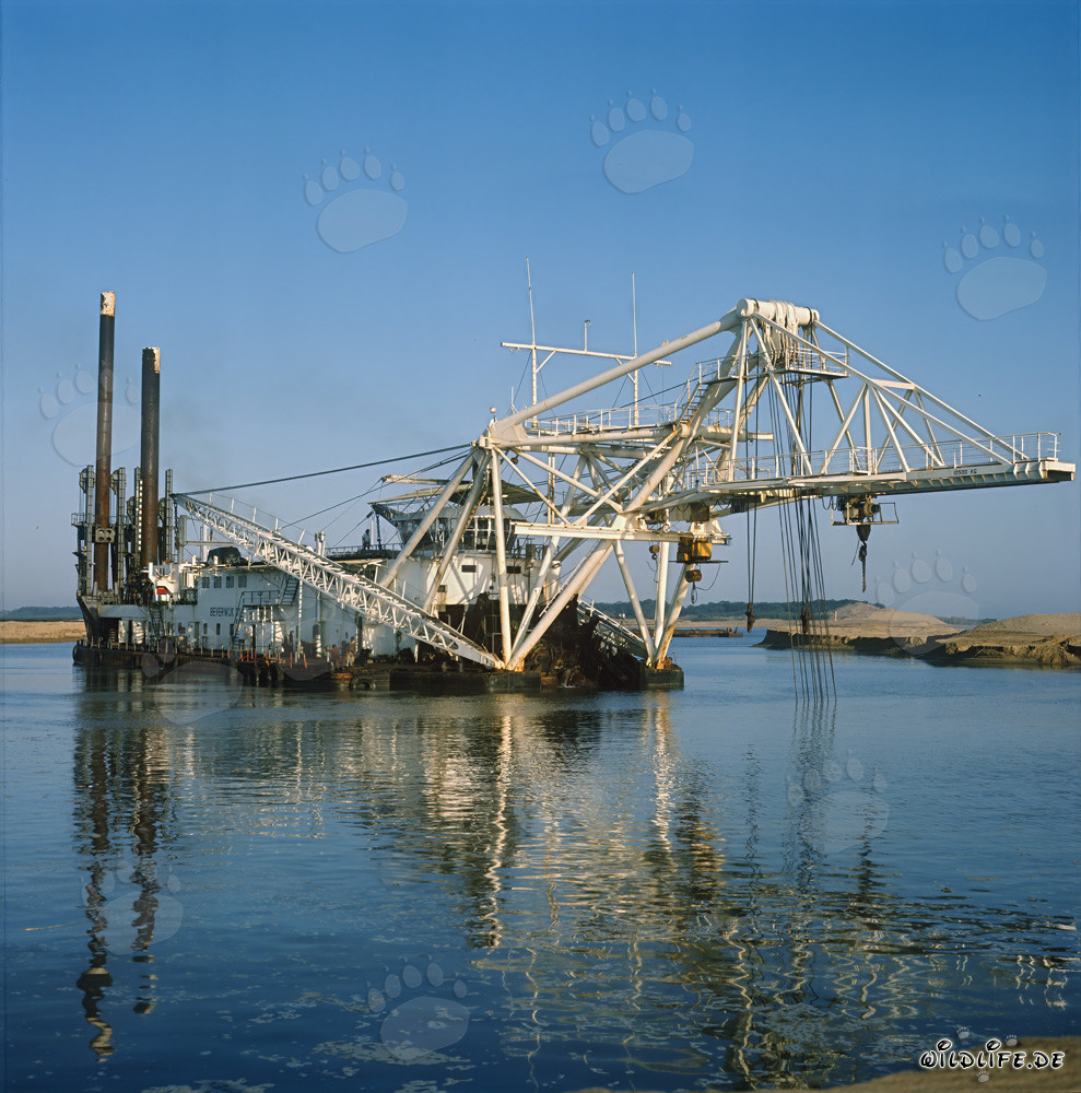 Schneidkopfspuelbagger Beverwijk 31 in Richards Bay Hafen, Natal, Südafrika