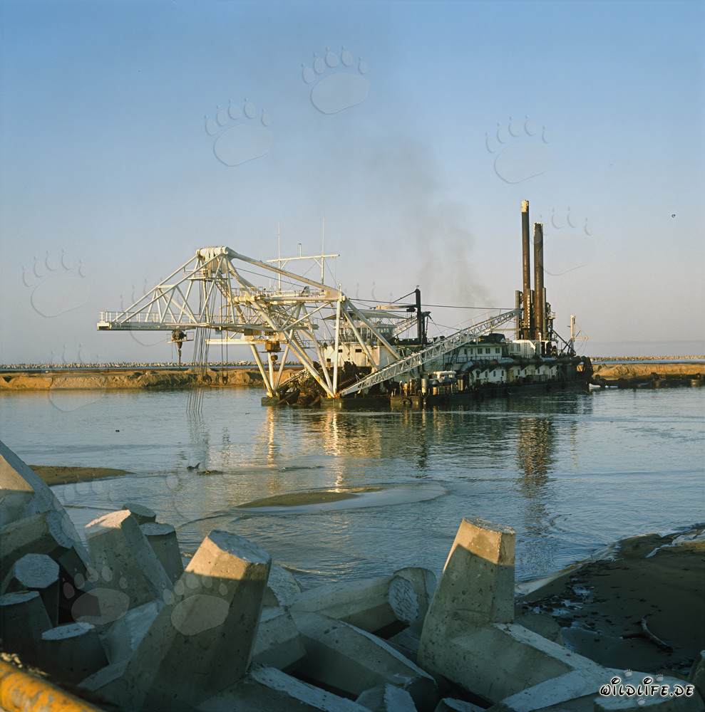 Cutter Suction Dredger Beverwijk 31 Performing Dredging Works in Richards Bay Harbor, South Africa