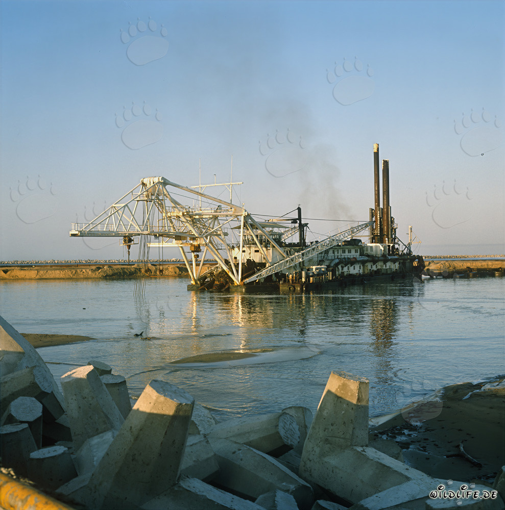 Draga de succión con cabezal de corte Beverwijk 31 durante trabajos de dragado en húmedo en el puerto de Richards Bay, Sudáfrica