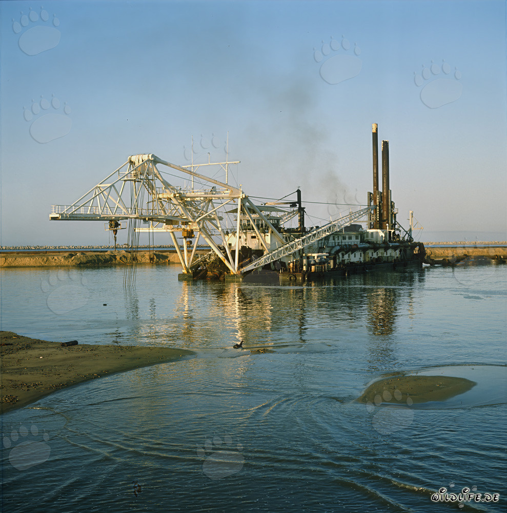 Beeindruckender Schneidkopfspuelbagger Beverwijk 31 im Hafen Richards Bay